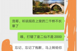 /img/2447.png/img/2447.png找债务公司要账可行嘛？深度解析其中的利弊与风险/img/2447.png/img/2447.png